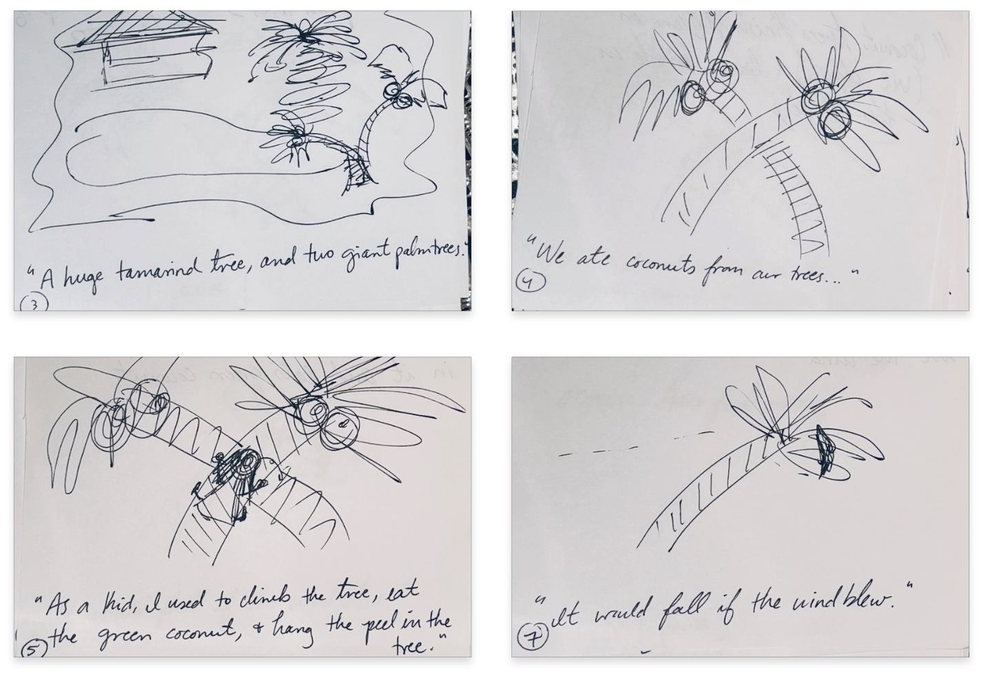 Select storyboard scenes from Memories of Home. (Amanda Weisbrod / RFA)